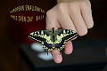 08 06 13_3510_edited-2